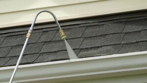 Gutter Cleaning