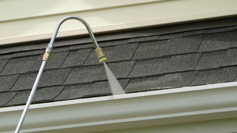 Gutter Cleaning